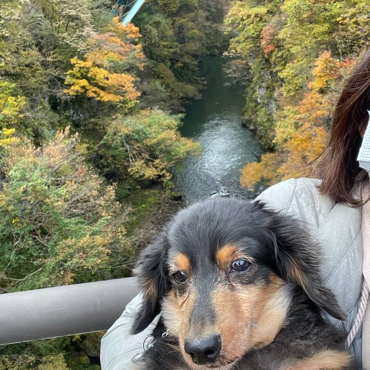 48ee0bbe 272c 4bca 85cf 6d02e38ad37e 1635555403593