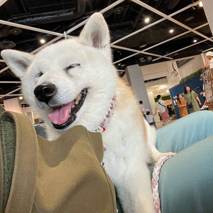 48ee1749 e892 47e0 9d55 16fe59b4f2b4 1720833316271