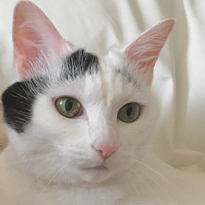 48ee66bf 260b 4aa5 8688 063b72b570eb 1592282752200