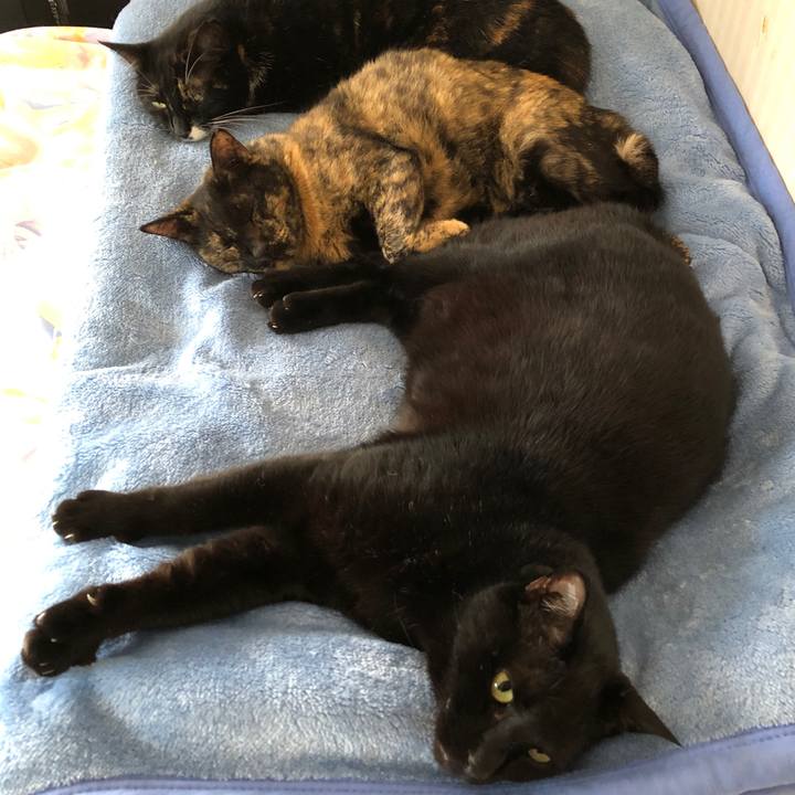 48ee77b2 0288 4b83 a7ba 5e68ed141d58 1636068411022