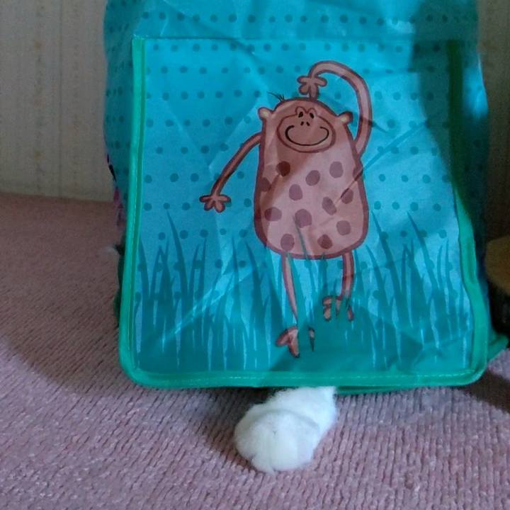 48ee86a0 5ab7 4311 a803 9b52697a2349 1599258862639