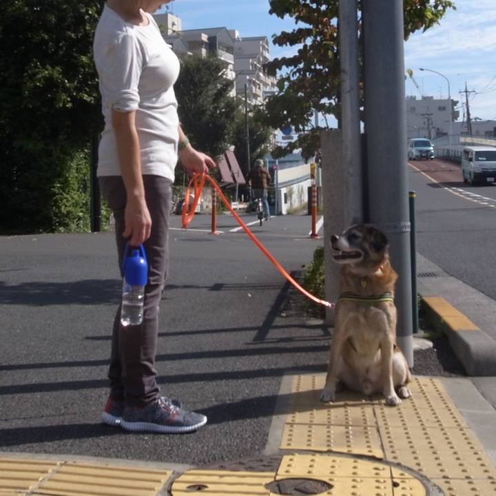 48ef0b1d 86dc 4b7f ac96 5a855203b43a 1591320312416