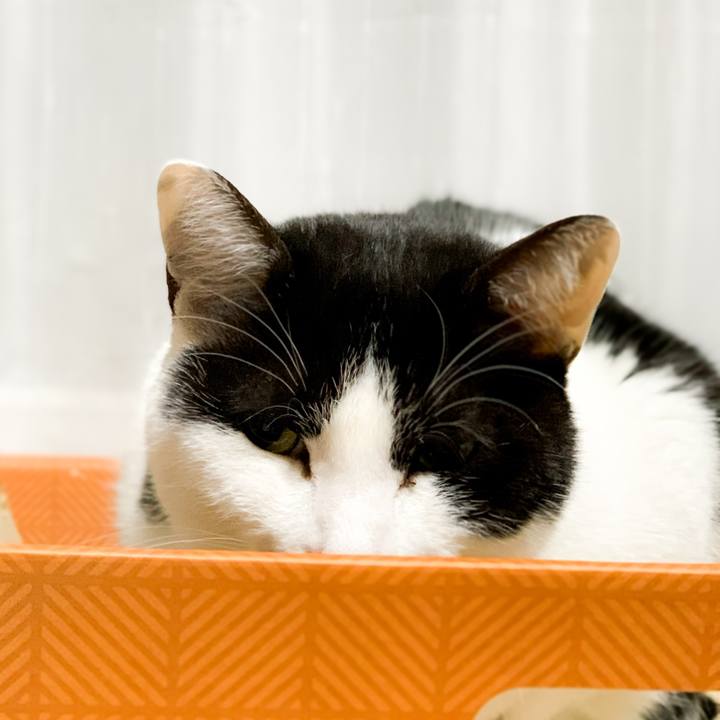 48ef0f47 055f 4175 b672 4309be0c05a9 1583893404176