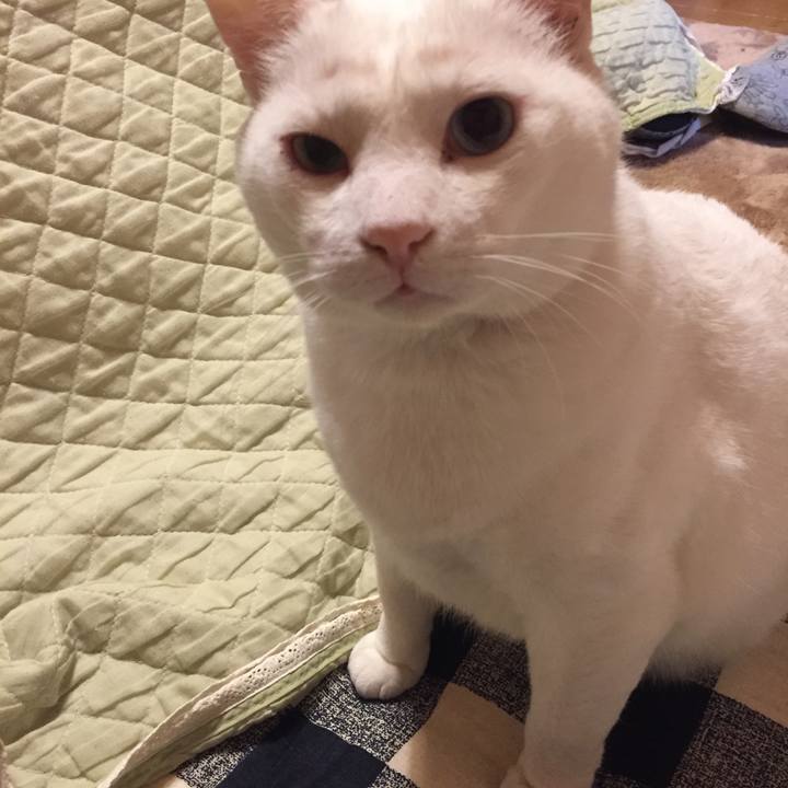 48ef4783 6112 4610 8214 286cfa5db8de 1512002636271