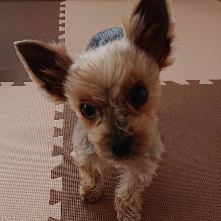 48ef61b6 cf2f 4814 8e3c 8af001ce48ba 1559278544818