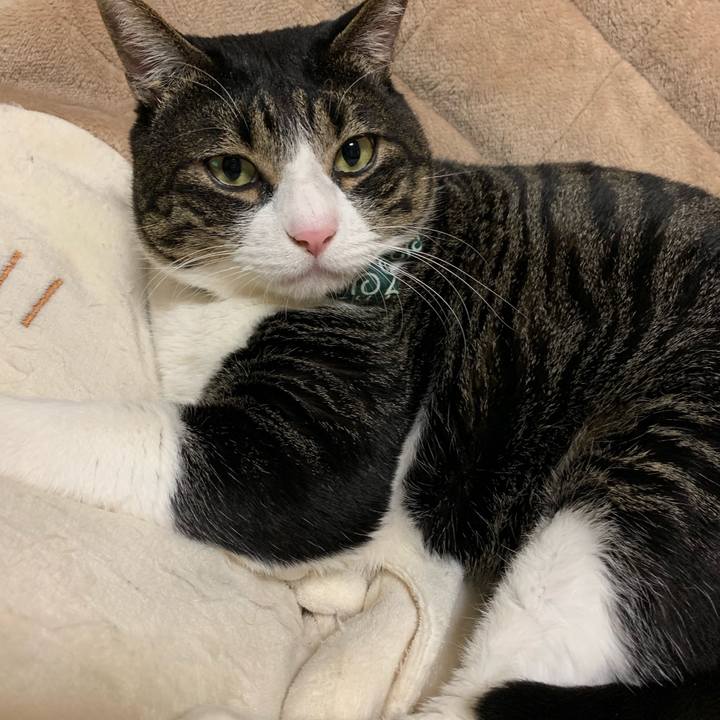 48ef7da2 71c4 4cd0 a856 c7e7f066e5c4 1548080127044