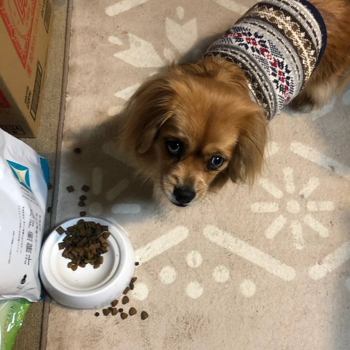 48ef89b6 a2da 48eb 80eb cf4f9f9743b8 1547244097714