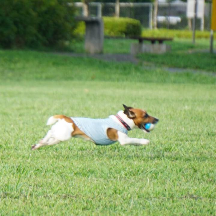 48ef9abc 8477 4129 8850 8c2405d9ff55 1566343625429