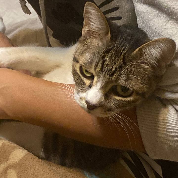 48efb978 2d84 43cd b938 fe288de7cdc7 1604333554090