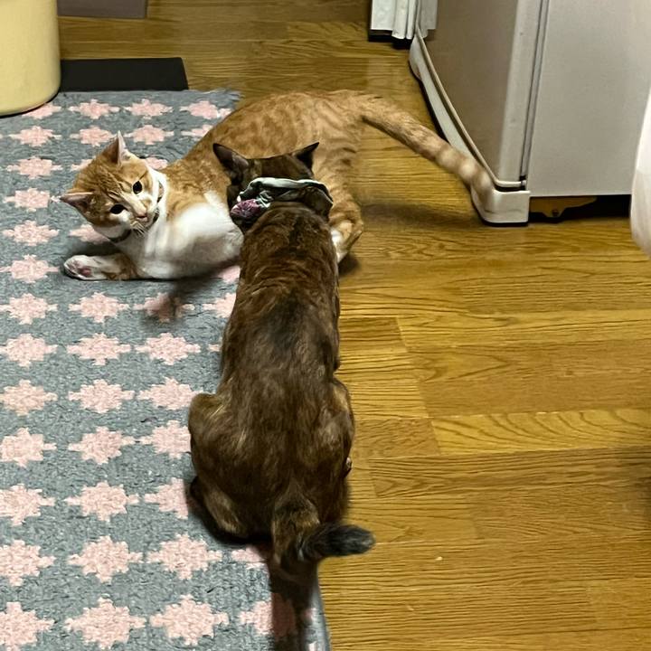 48efc2a8 2df8 4bf0 8e6a ef2b57bd3f24 1668200332499