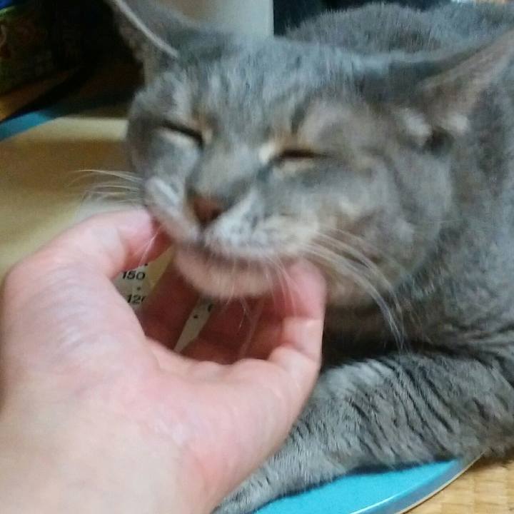 48f00351 3af5 4f7c 8312 224c1f6ffa8f 1565362502050