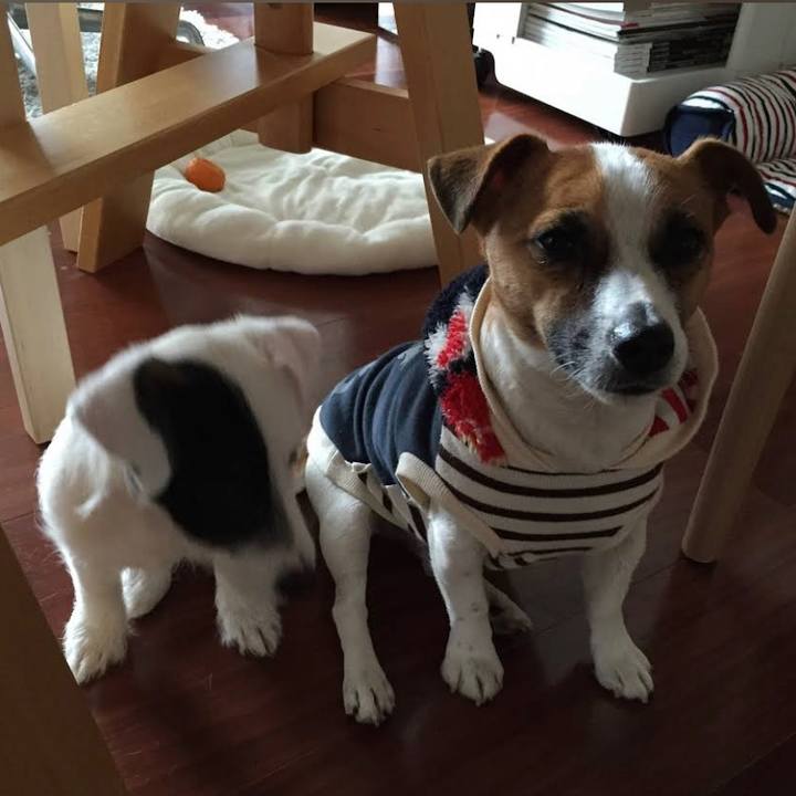 48f02385 60f9 42ca 8521 4a4012e258fc 1676810980569