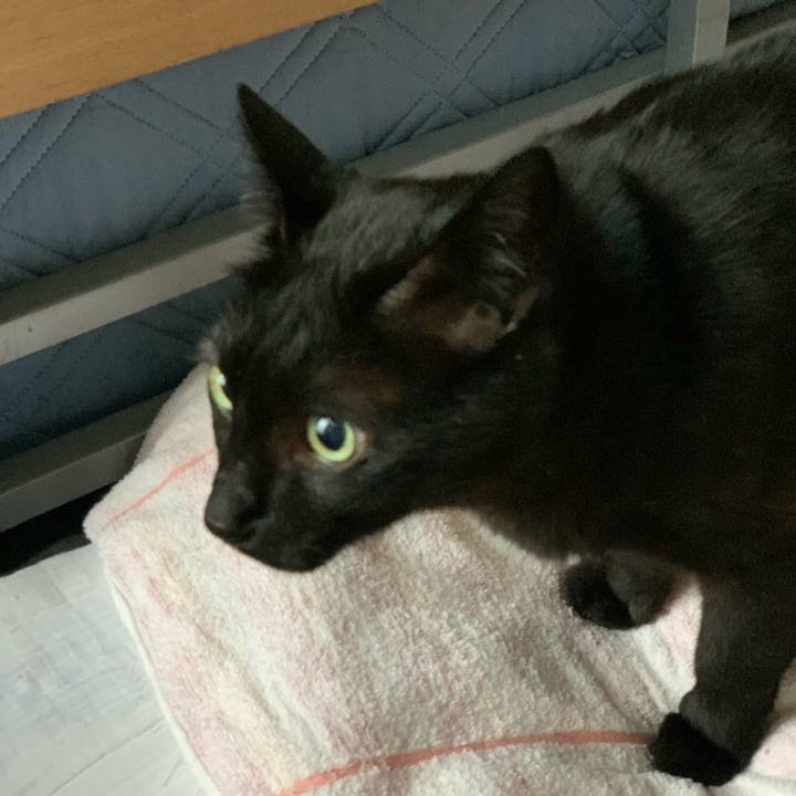 48f056a2 5e9c 4ea1 bc32 d70162605219 1594429646622