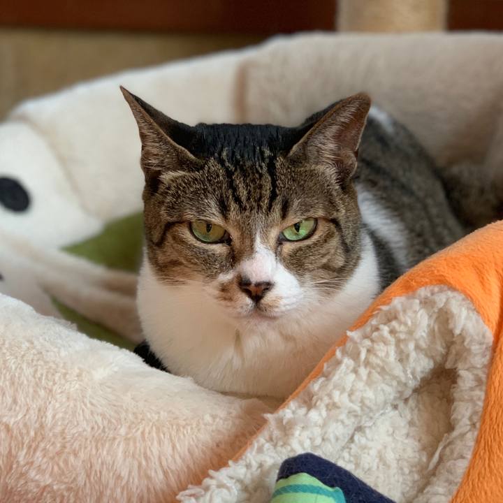 48f05c7b c804 47ac a806 8253cec696cb 1570670992632