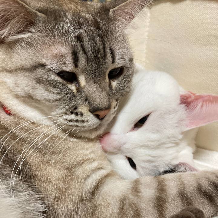 48f06ebf f093 4a9f 8631 2eb494651d85 1677595625283