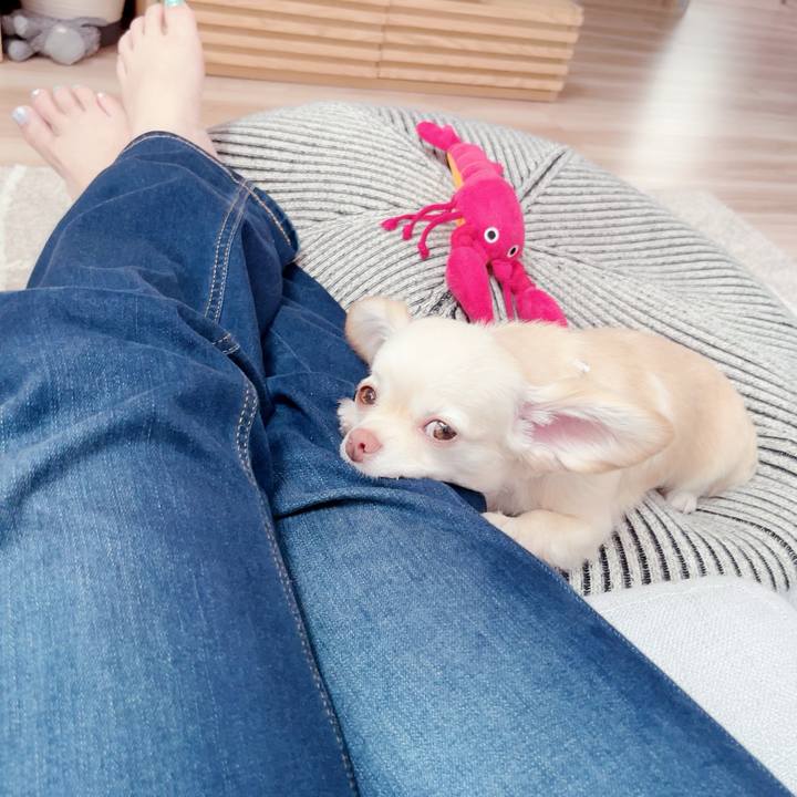 48f09cab 1250 4ae1 9cad ca2304e9fbf5 1686575670490