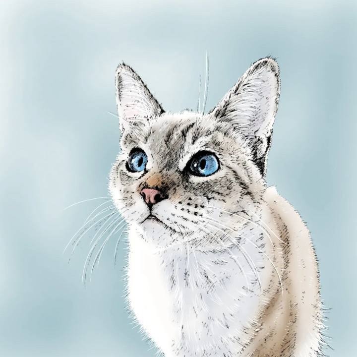 48f0d803 1705 4c6f 862f 5f989bfcc7c5 1654856993107