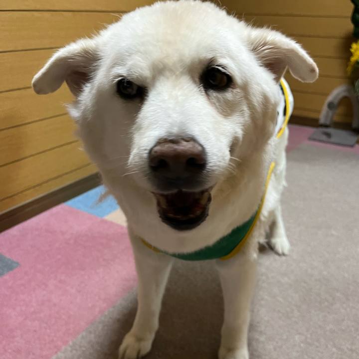 48f0fa66 c636 42b3 b673 dd60481530d9 1758323534889