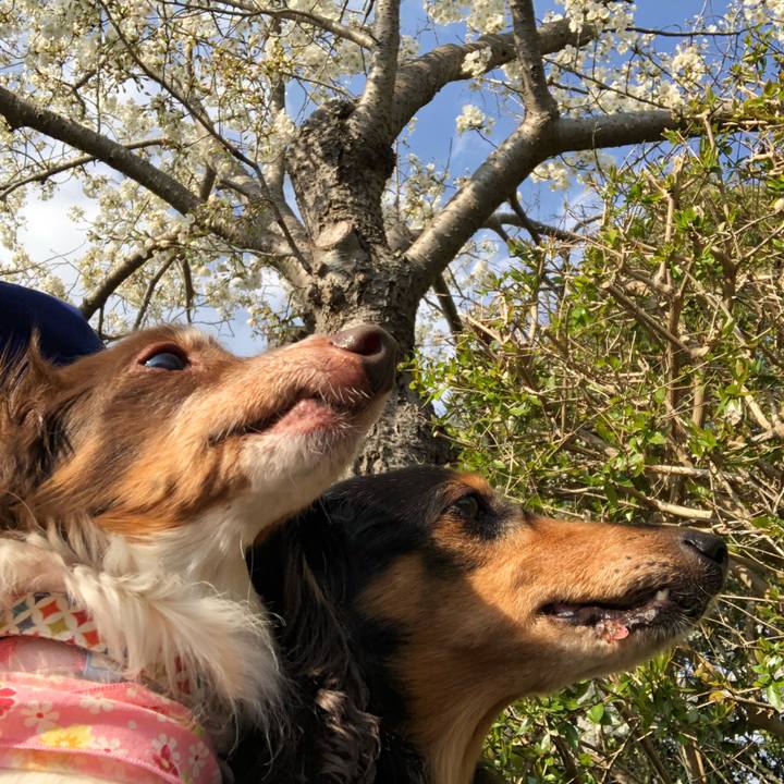 48f156cd 60d1 4aea a594 e0b6e8657a98 1554042841983