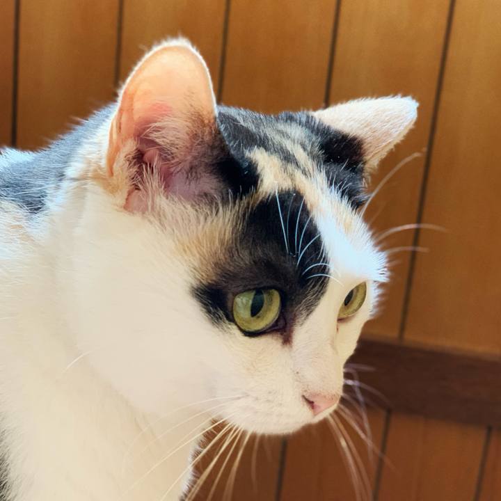 48f190b7 d4be 404b a9e6 cd834a2cafc7 1598063896031