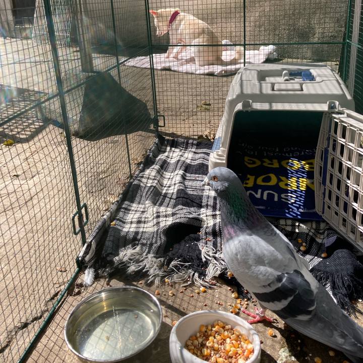 48f1cf58 cf8f 4030 a6be 4f20696187ab 1710580082315