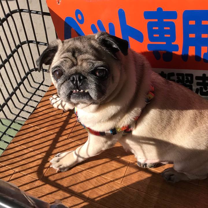 48f244d0 0058 49f2 b8a4 8a9fdbba5cb8 1511491038908