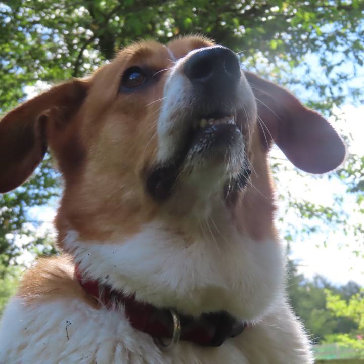 48f2cc72 6a2d 453b 8136 dc378c3b4bb2 1695435016726