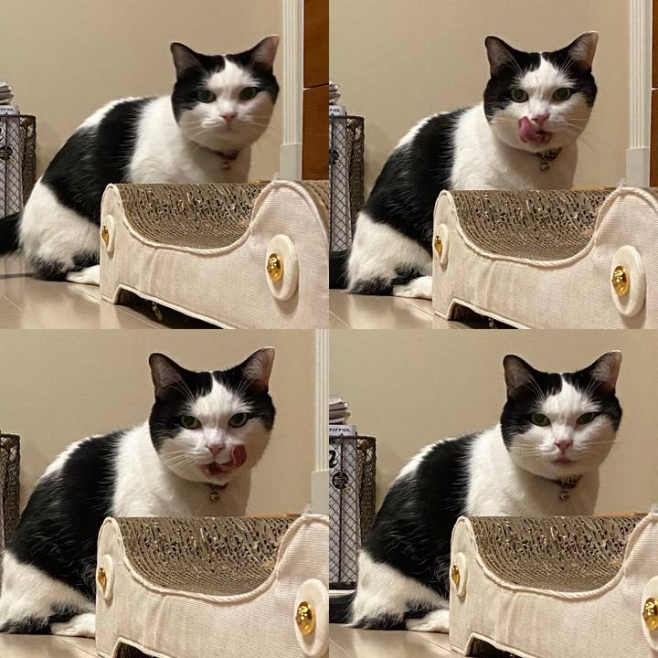 48f2e051 11d4 4996 a31a f8ca0b874971 1759963275098