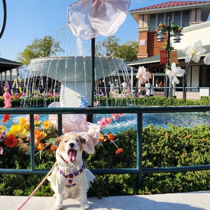 48f2e33c 263e 4988 acbe 91718b82e324 1746019797534