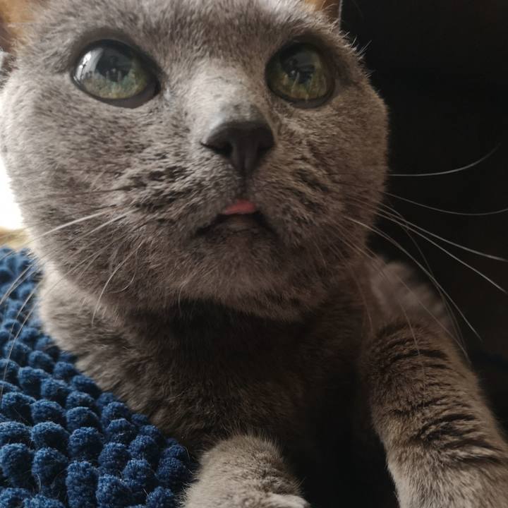 48f2fbe2 4f07 4961 9126 78e3dc49852a 1683957226970