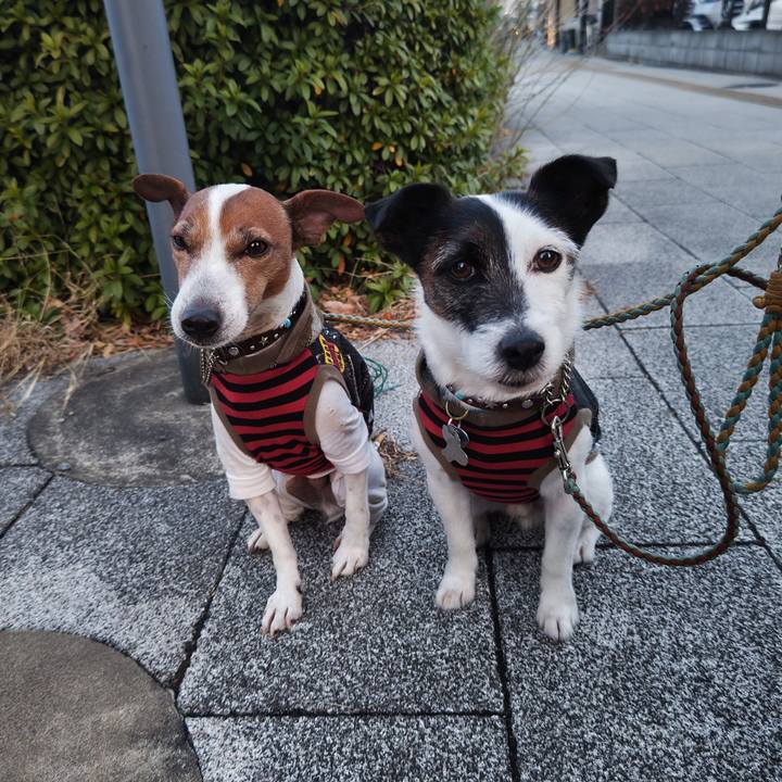 48f2fcc3 a026 4434 8ba2 a84c84300247 1737583393444