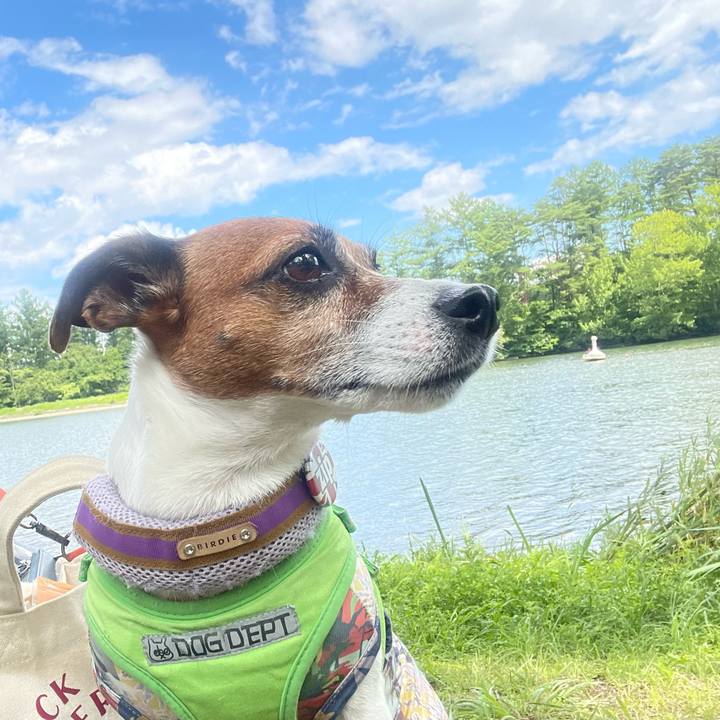 48f33850 252f 446d a069 0ae45ba00f0c 1755242796228