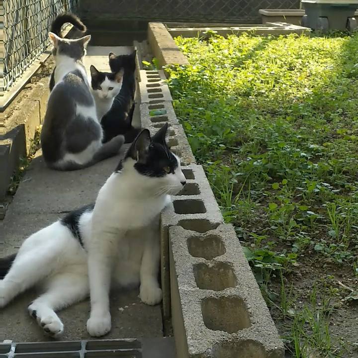 48f34773 45b8 4420 9bbb 191ce11746e2 1541656544984