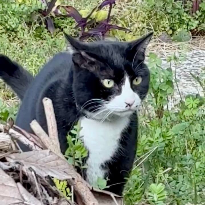 48f34a6c a528 44c1 ab7d 09f0f3d8982d 1773751150610