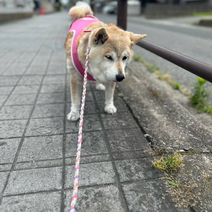 48f354a5 45b7 4980 91c0 d8c53a01361d 1748486798730