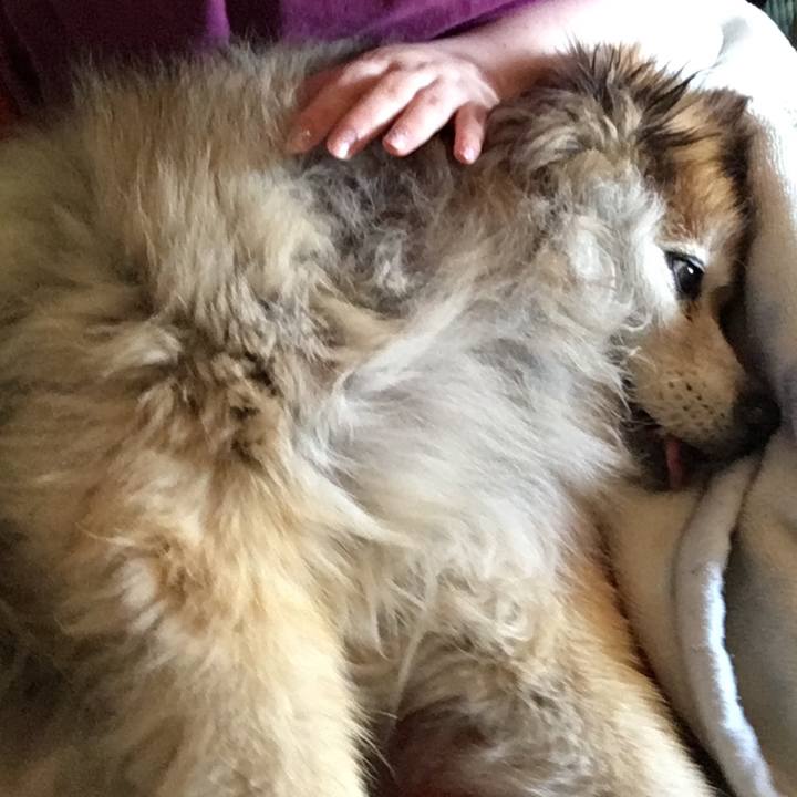 48f36191 1536 48a1 b018 d781eba8693b 1593314323183