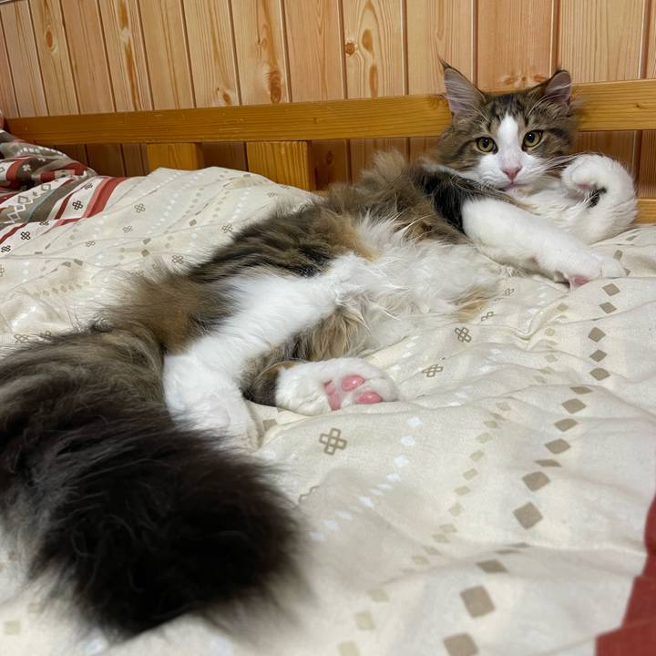 48f3cc6a eeba 4a05 920a b9a936731f2b 1639394718868