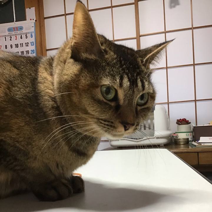 48f3e696 c8d9 4322 aca0 40c35987c860 1638137286860