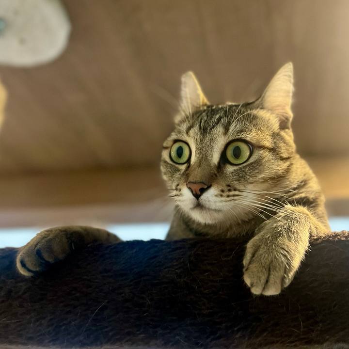 48f3fe9d d483 4564 95d7 e28f7d26248d 1758549020862