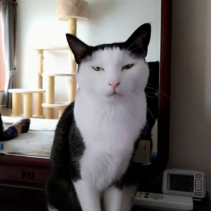 48f40374 3d7b 4441 a025 4340553aece7 1602989966733