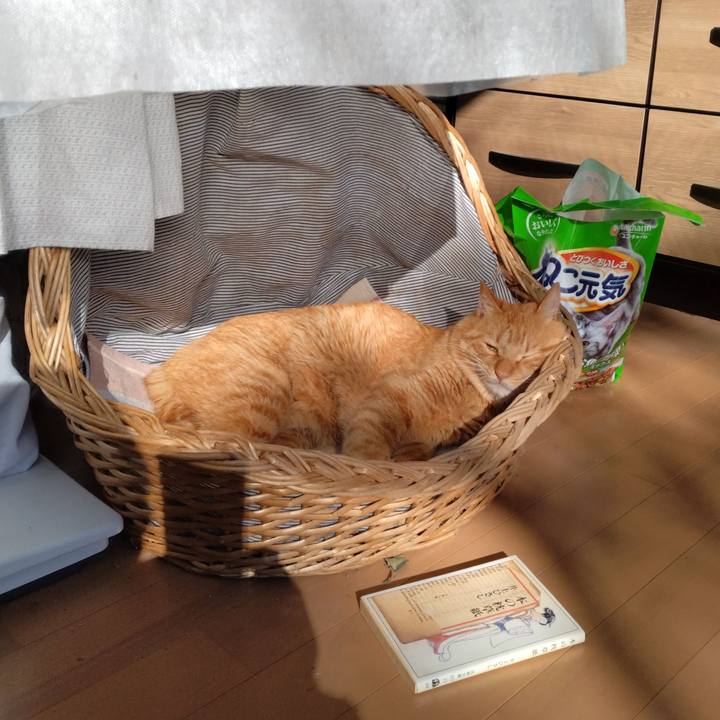 48f45915 c754 4eb5 b4d8 39b7dae5fcac 1700035075219