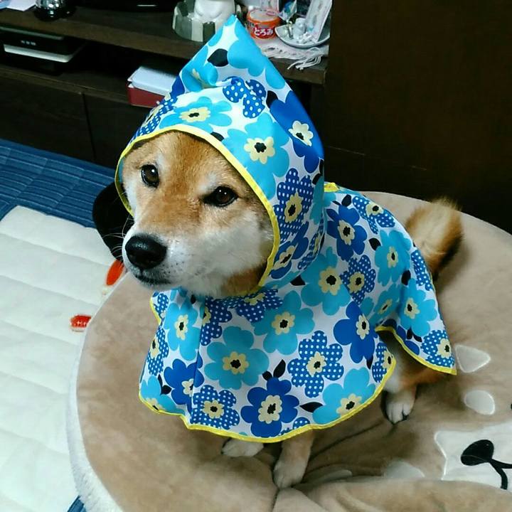 48f49b0d f8c9 4925 a20e 618a18838b05 1563108713197