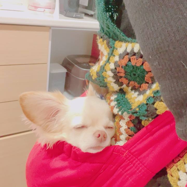 48f4c733 5d7c 4f01 8029 867c03b71053 1702888939881