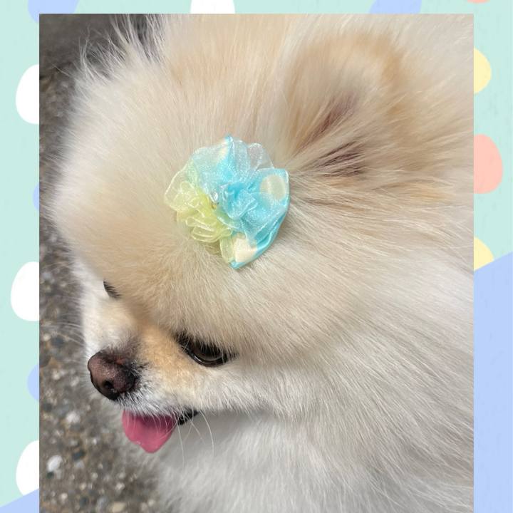 48f4d645 ce33 414e a17b c79b5cc2d3ff 1744259717398