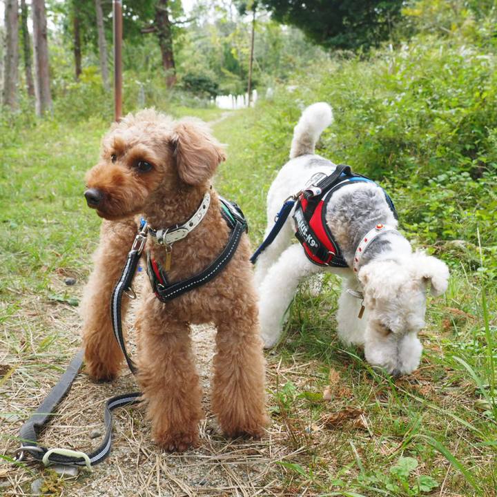 48f4d80e 23e2 4615 a677 eb5c3d4318c8 1539528276008