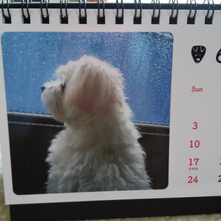 48f4df04 2916 4259 aa41 b65d753b5090 1527838176835