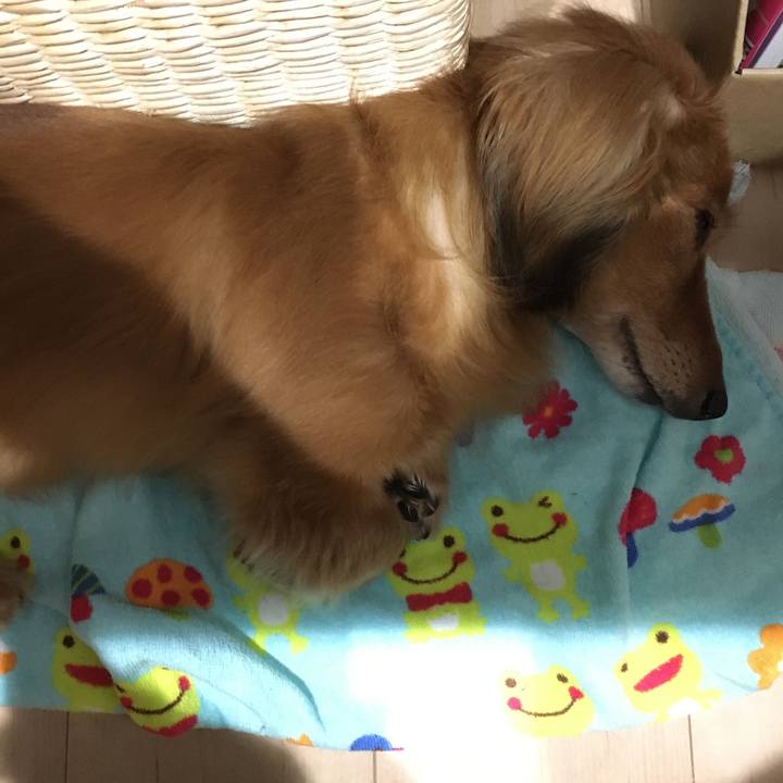 48f555e3 f483 4726 9bae a9db8ed5b7ec 1592809938569