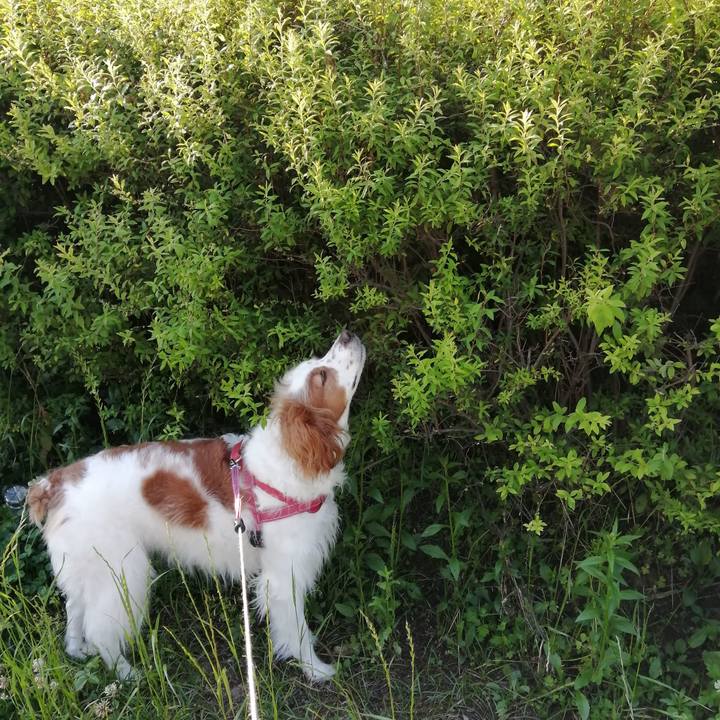 48f5a6f1 9f38 4f6c 9e1c 27cdb3ab73d8 1590751337611