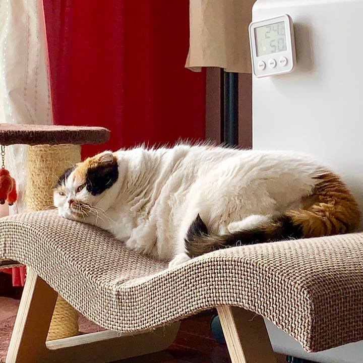 48f5bcb9 bfa5 49fa 8dd0 a2ff254c364e 1566864437521