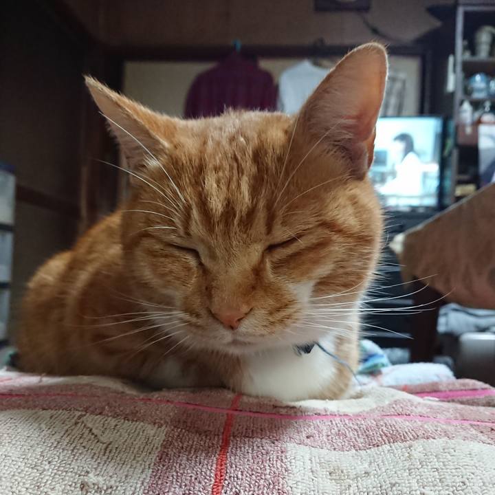 48f5c6c8 6969 42dc 993b f0d3df9f1675 1605943542660